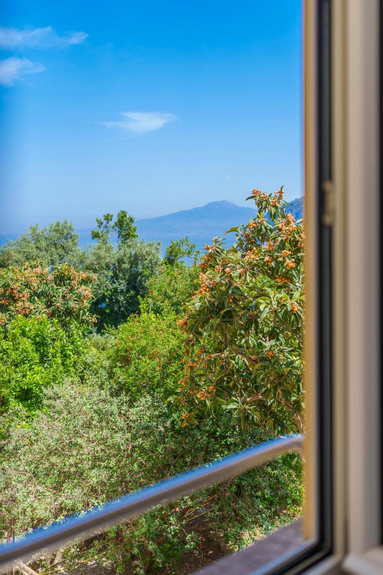 Villa Preziosa Al Pizzo 3 Km Da Sorrento Sant'Agnello Εξωτερικό φωτογραφία