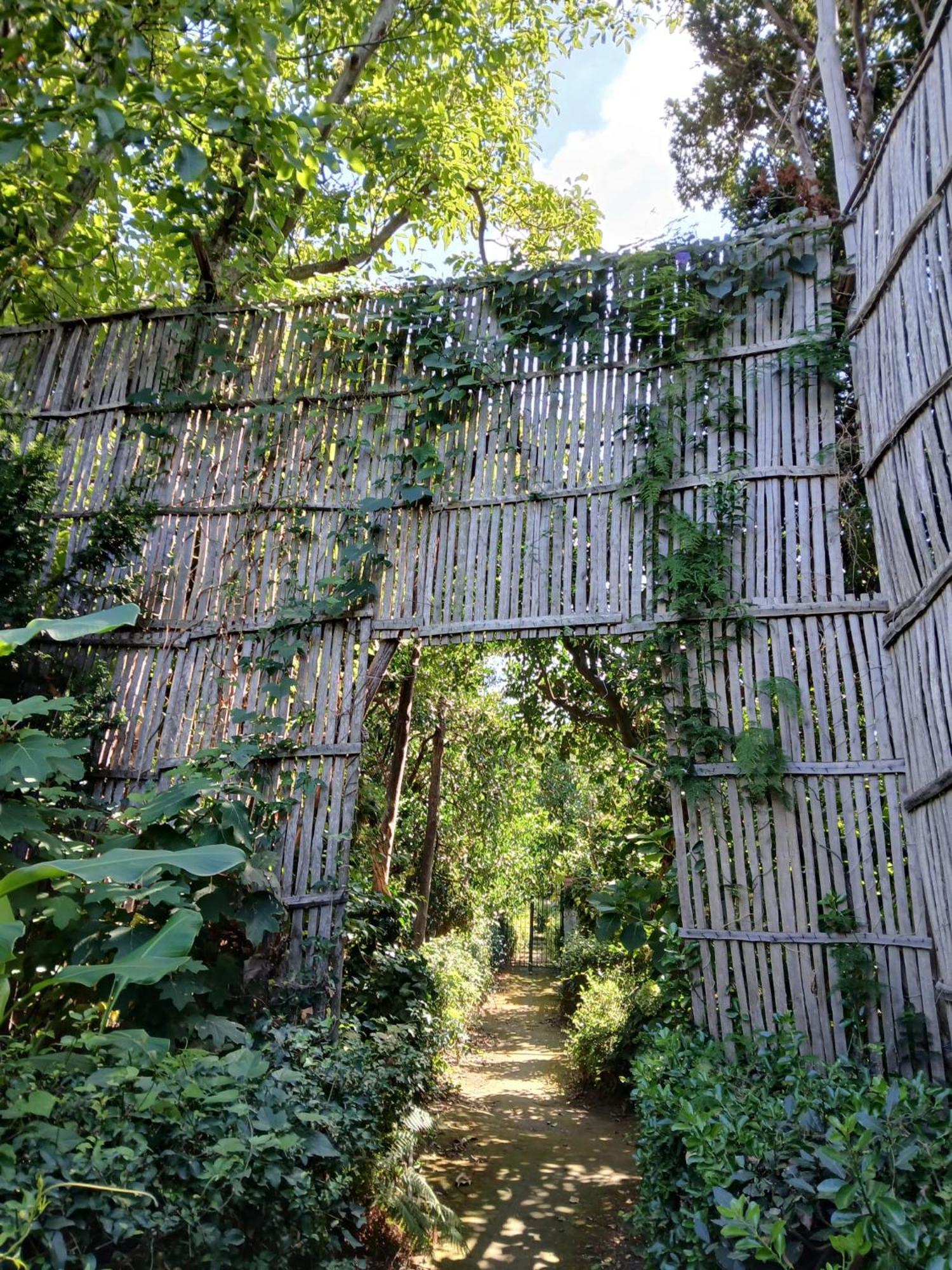 Villa Preziosa Al Pizzo 3 Km Da Sorrento Sant'Agnello Εξωτερικό φωτογραφία